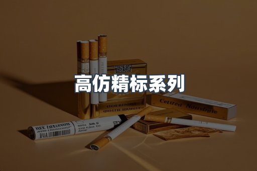 高仿精标系列
